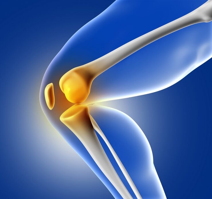 knee replacement surgery in indore