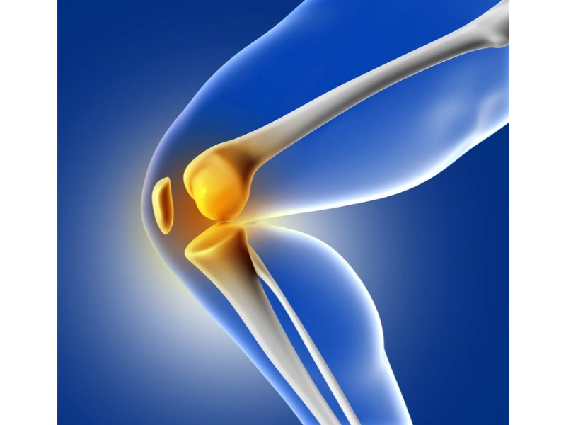 Knee Replacement Surgery in Indore